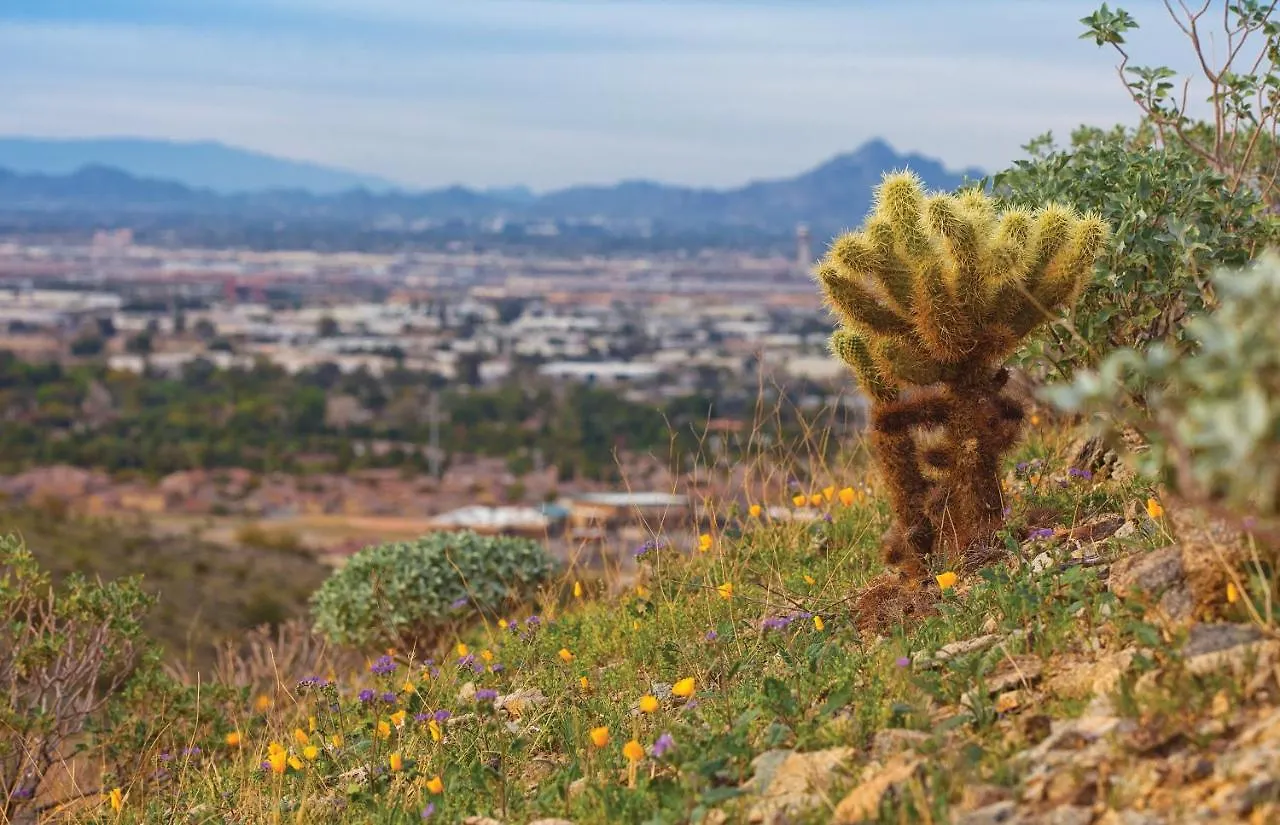 Raintree At Phoenix South Mountain Preserve