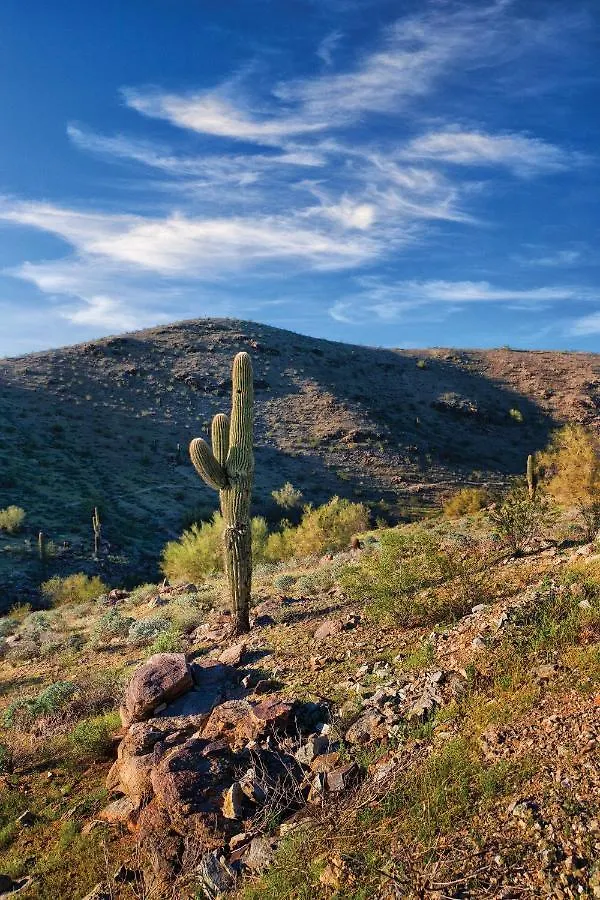 Raintree At Phoenix South Mountain Preserve Hotel